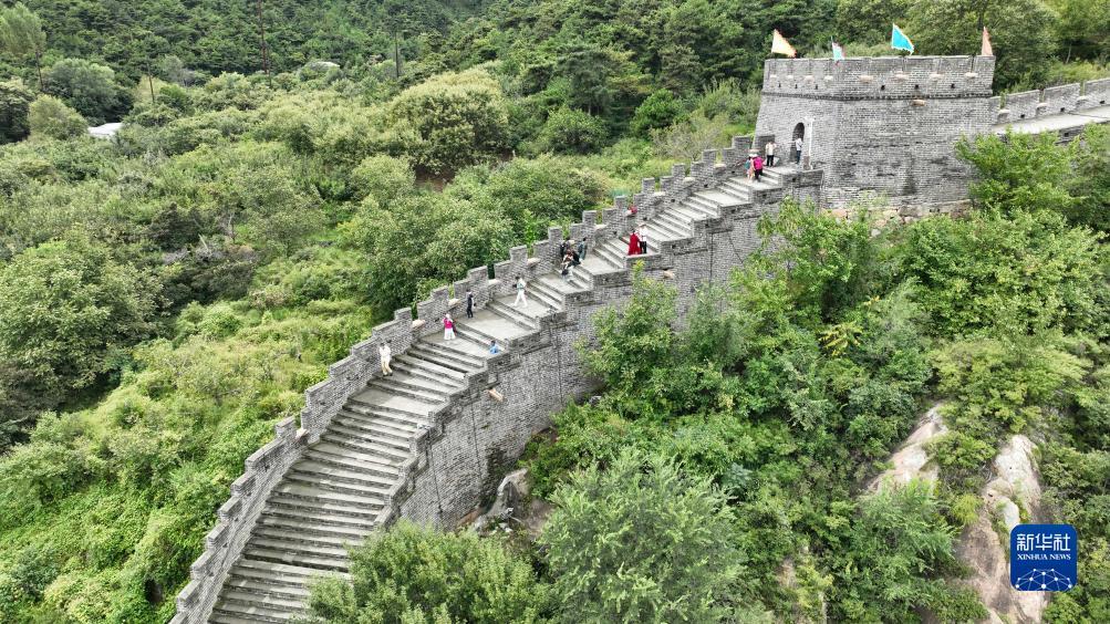 怎么算是闲龙宝,庄龙宝